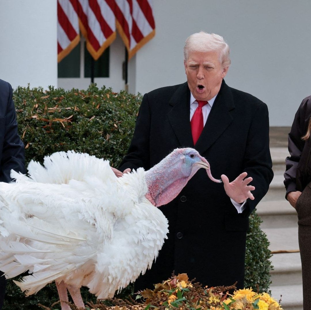 Un hombre sostiene un pavo.