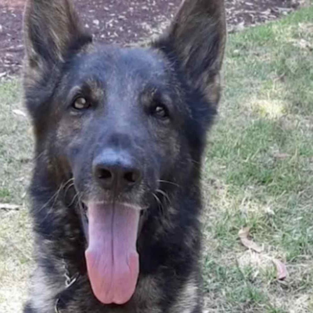 Proteo rescató a un menor en Turquía antes de morir