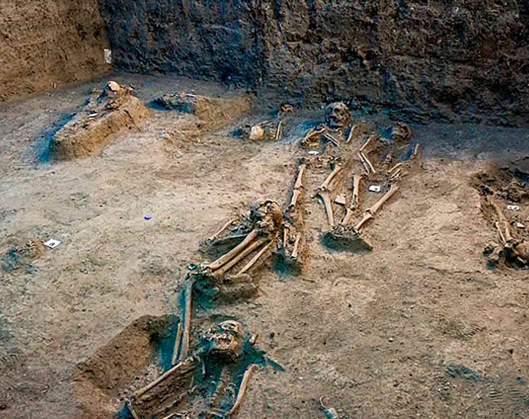 Hallan Cementerio Antiguo en Bosque de Chapultepec