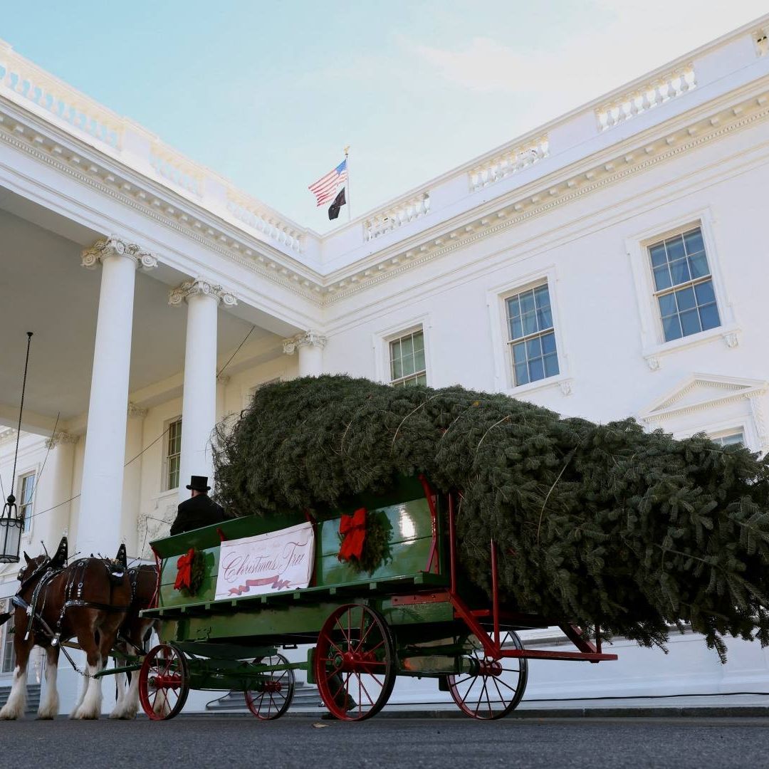 El árbol de Navidad de la Casa Blanca llega al Pórtico Norte en Washington, D.C., EUA. Foto: Reuters