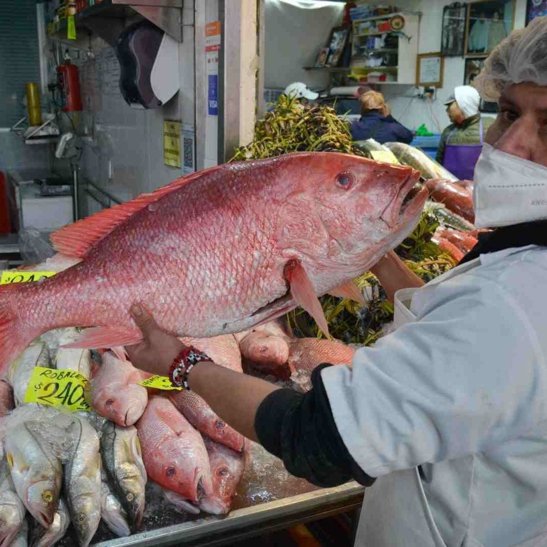 El pollo y los mariscos son algunas de las comidas que si se pueden comer en la Cuaresma