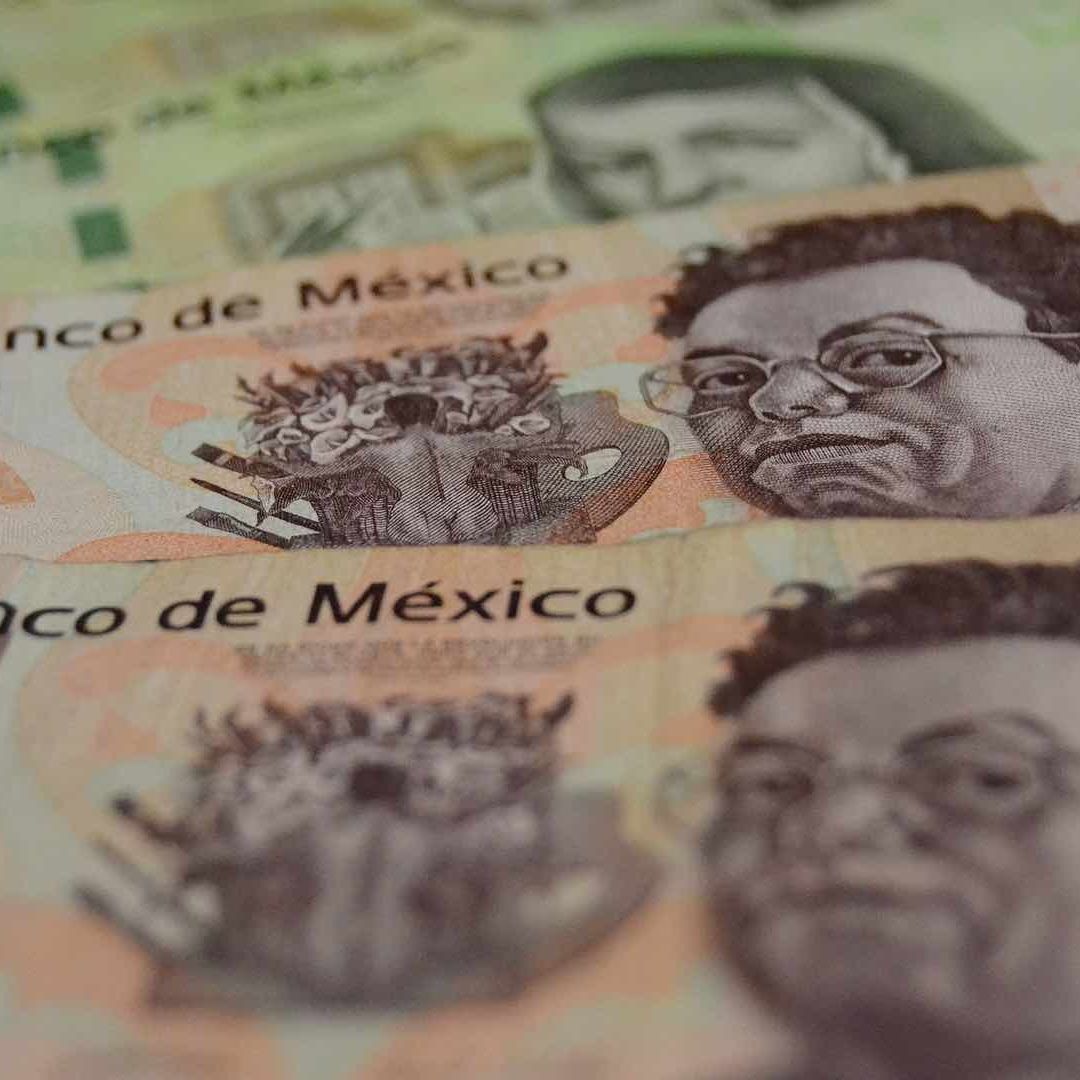 Los patrones no tienen derecho al reparto de utilidades