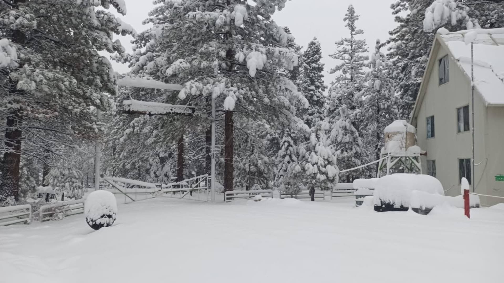 Así Luce la Sierra de San Pedro Mártir Tras la Nueva Nevada por Frente Frío 16 en Ensenada