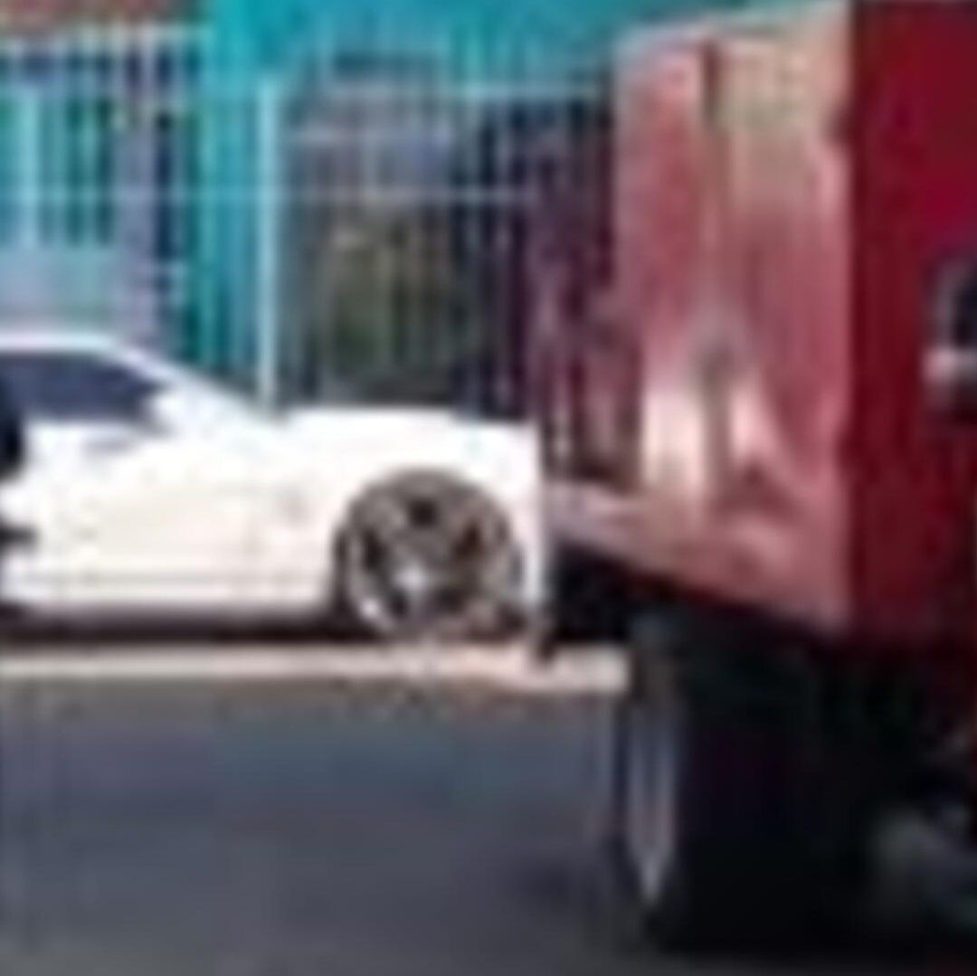 Cinco Perros Fueron Encontrados Muertos en Una Azotea en Celaya Guanajuato. Foto: Nmás Bajío