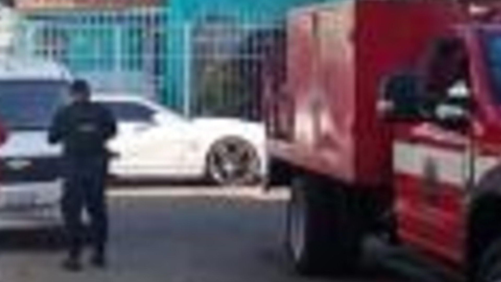 Cinco Perros Fueron Encontrados Muertos en Una Azotea en Celaya Guanajuato. Foto: Nmás Bajío