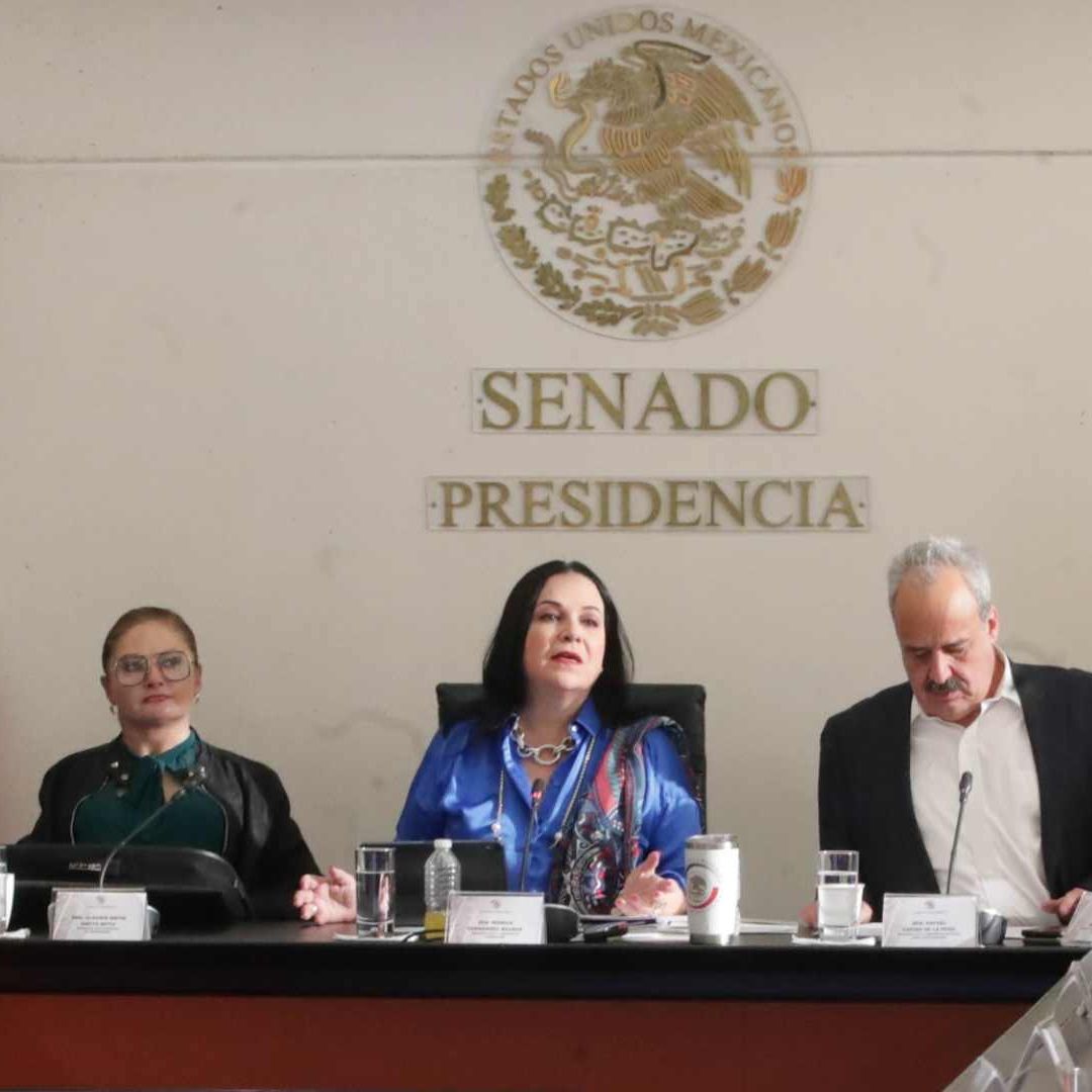 Senado Aprueba en Comisiones el Plan B de Reforma Electoral