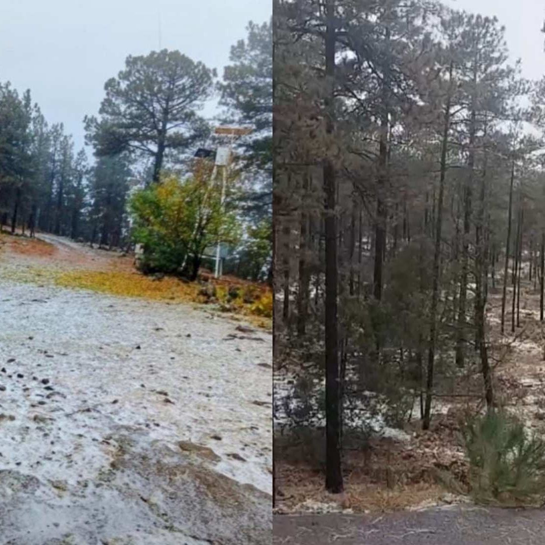 Confirman Caída de Nieve en Balleza y Madera; Viene la Primera Tormenta Invernal a Chihuahua