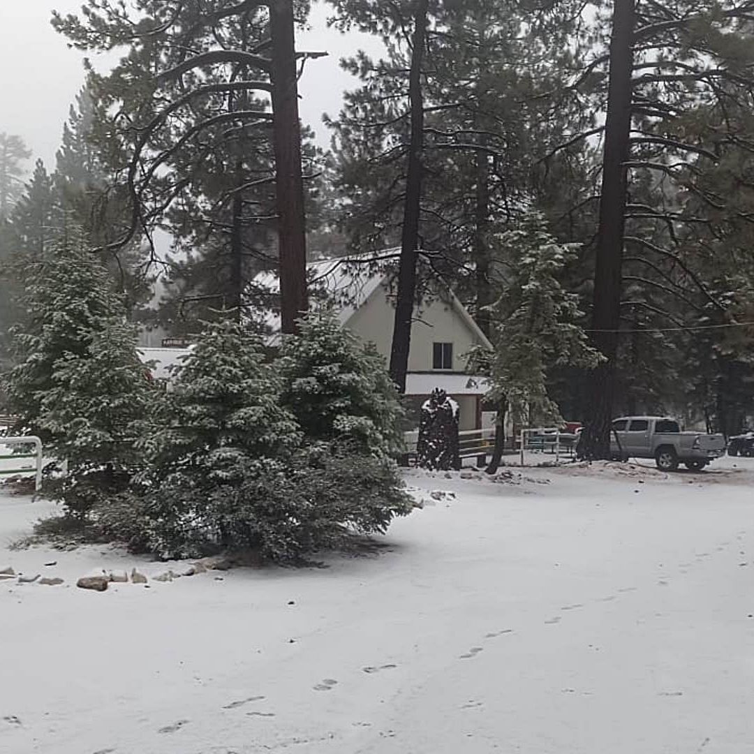 Primera nevada de la temporada en San Pedro Mártir, BC, el 19 de noviembre de 2025. Foto: X @conagua_clima