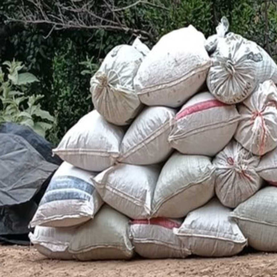 Droga asegurada en Sinaloa
