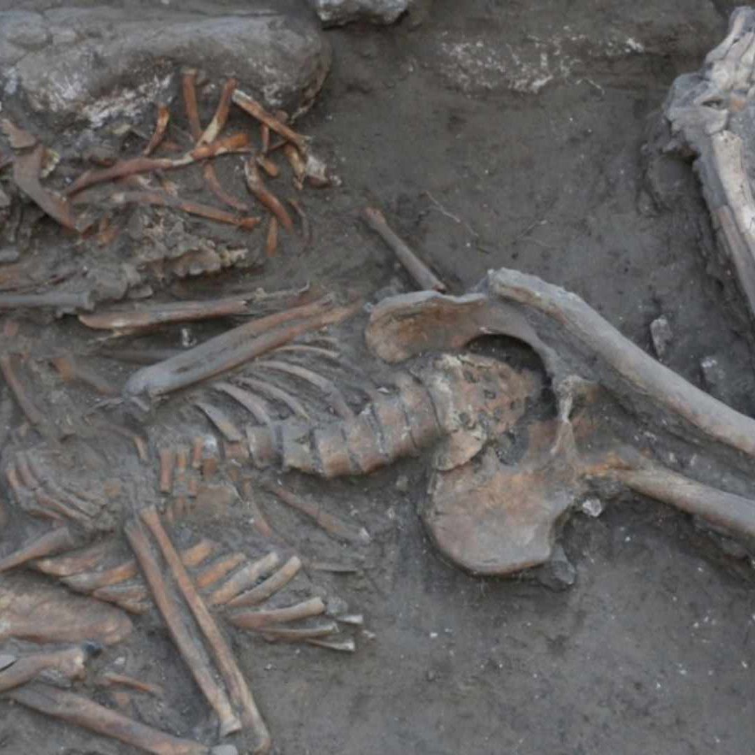 Hallan Indicios de Cirugía Cerebral de hace 3 mil 500 años