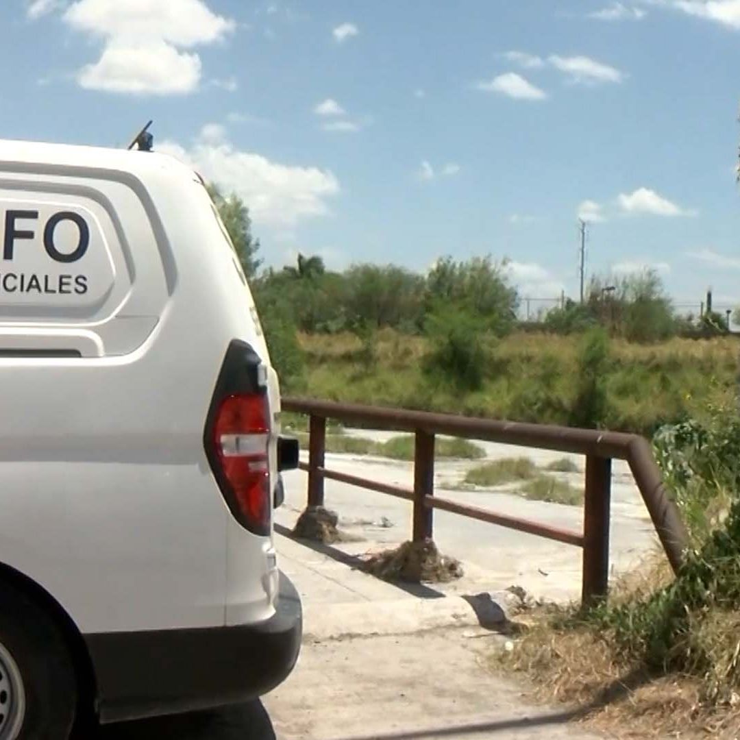 Colectivo Encuentra Fosa Clandestina con Restos Humanos en La Laguna