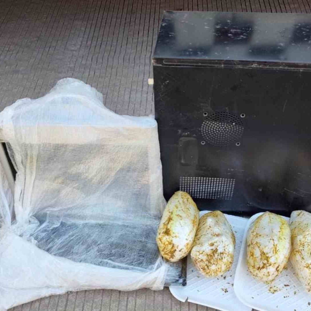 GN Inspecciona Empresa de Paquetería y Halla Droga en CPU