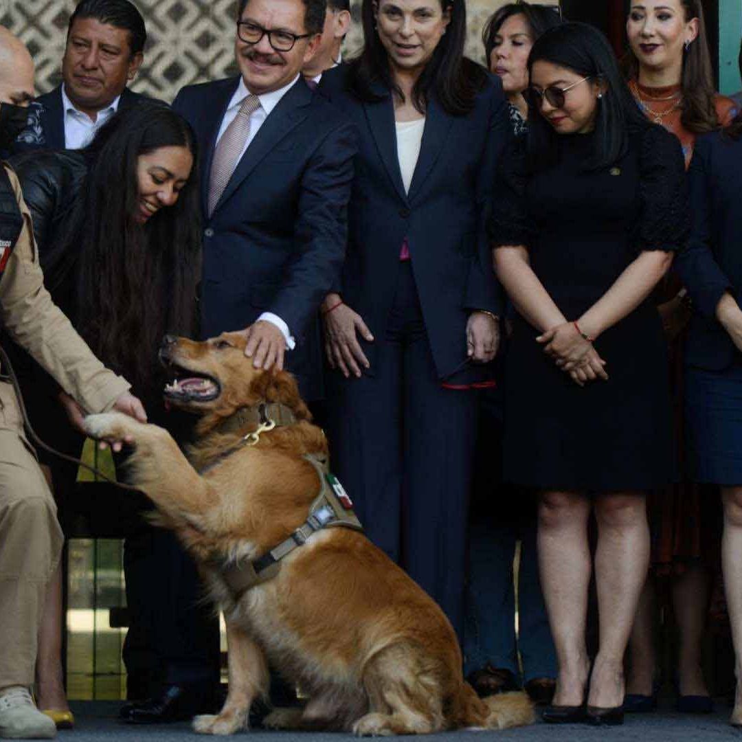 Legisladores de la Cámara de Diputados en México participaron en la ceremonia de jubilación de “Lucas”, perrito detector de explosivos