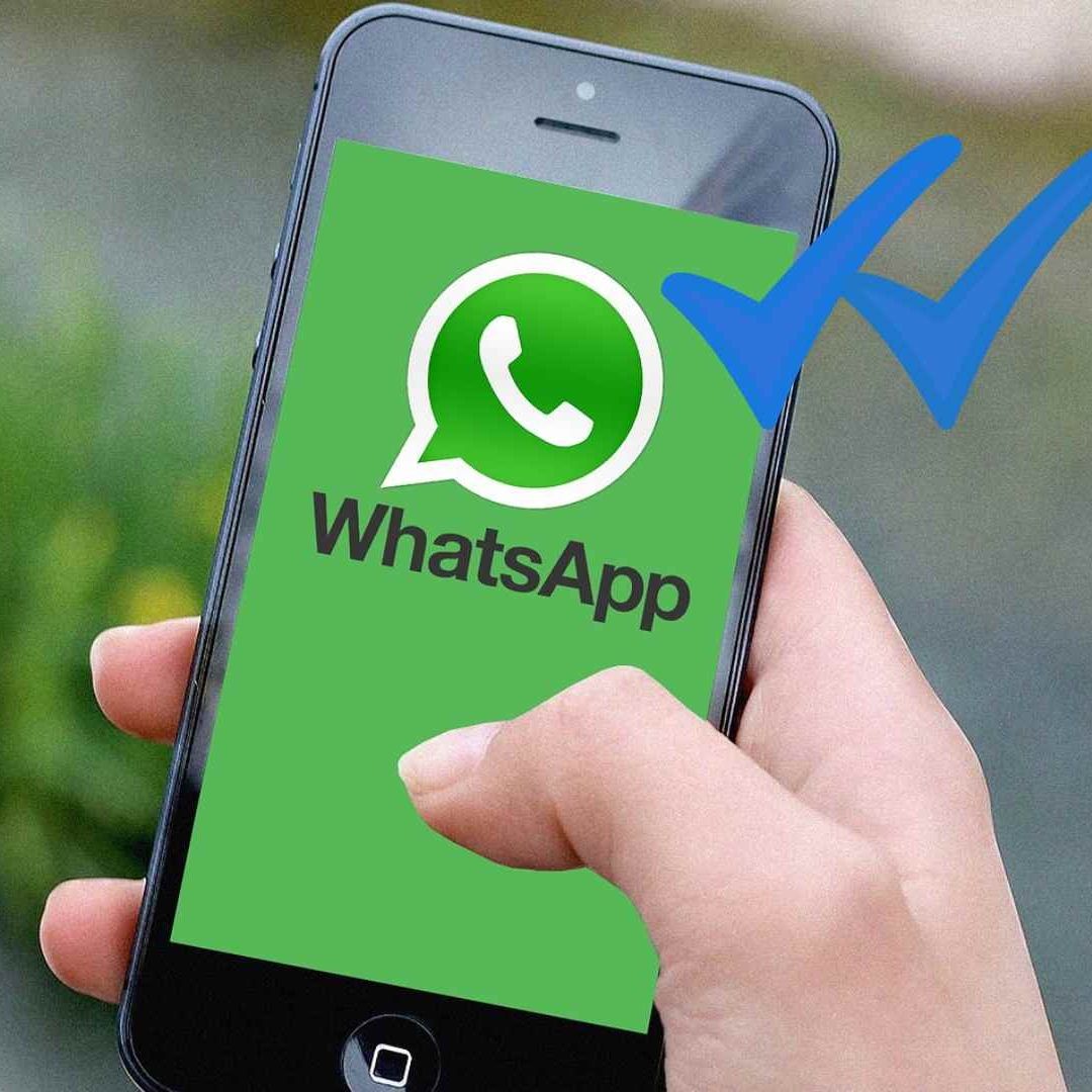 Checa cómo hacer para que nadie sepa que leíste un mensaje en WhatsApp.