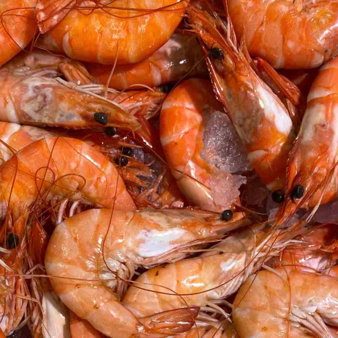 Cuaresma 2023: ¿Cómo saber si el camarón está fresco?