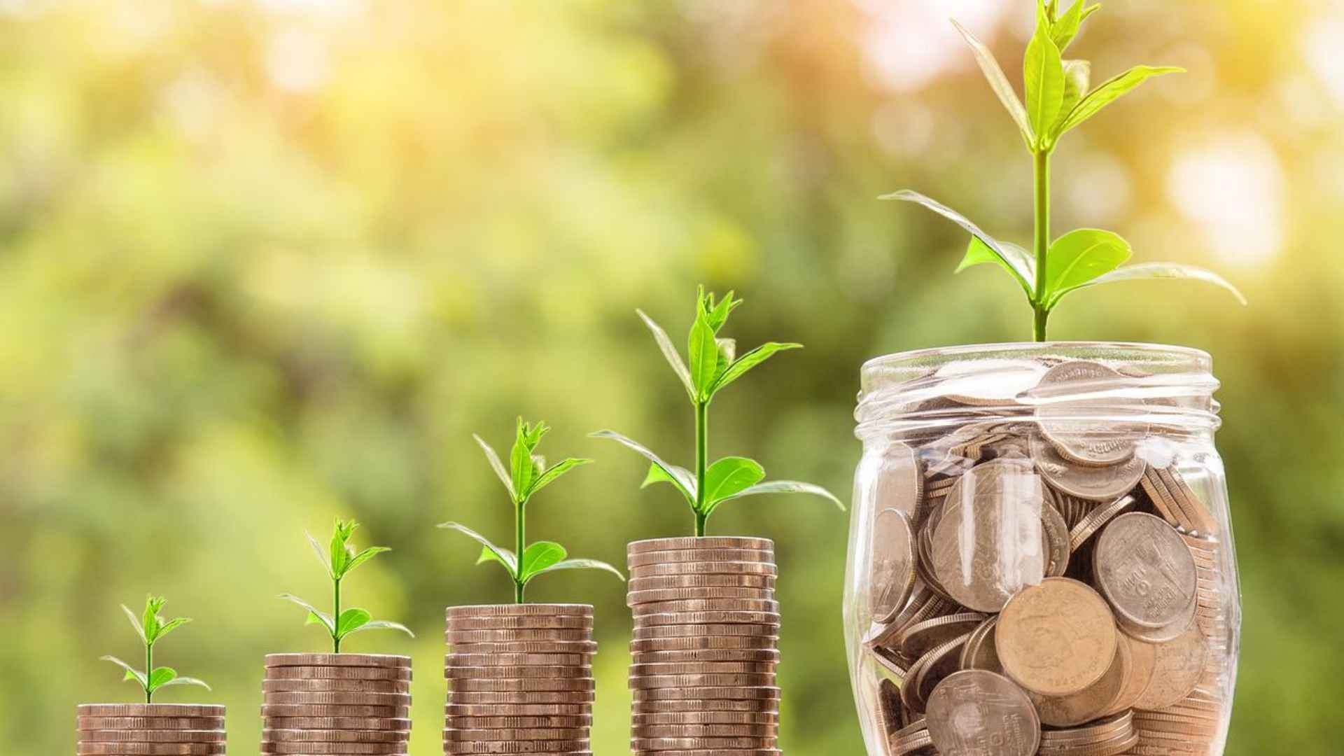 El salario diario máximo con el cual puedes tramitar tu pensión en el IMSS es de 25 UMA