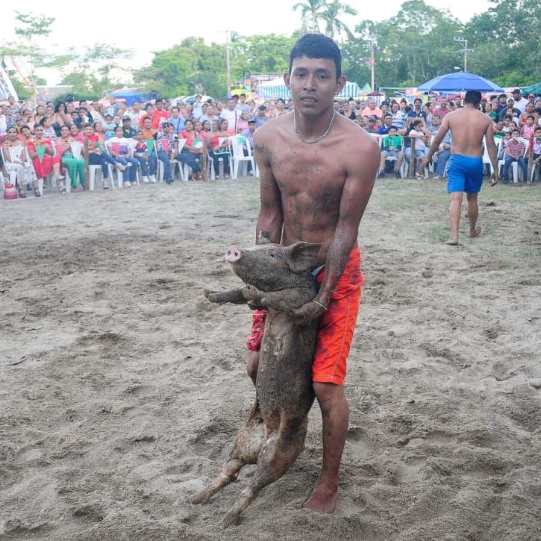 Concurso Cerdito Encebado Cancelado en Feria Patronal de Venustiano Carranza 2025 por Protección Animal