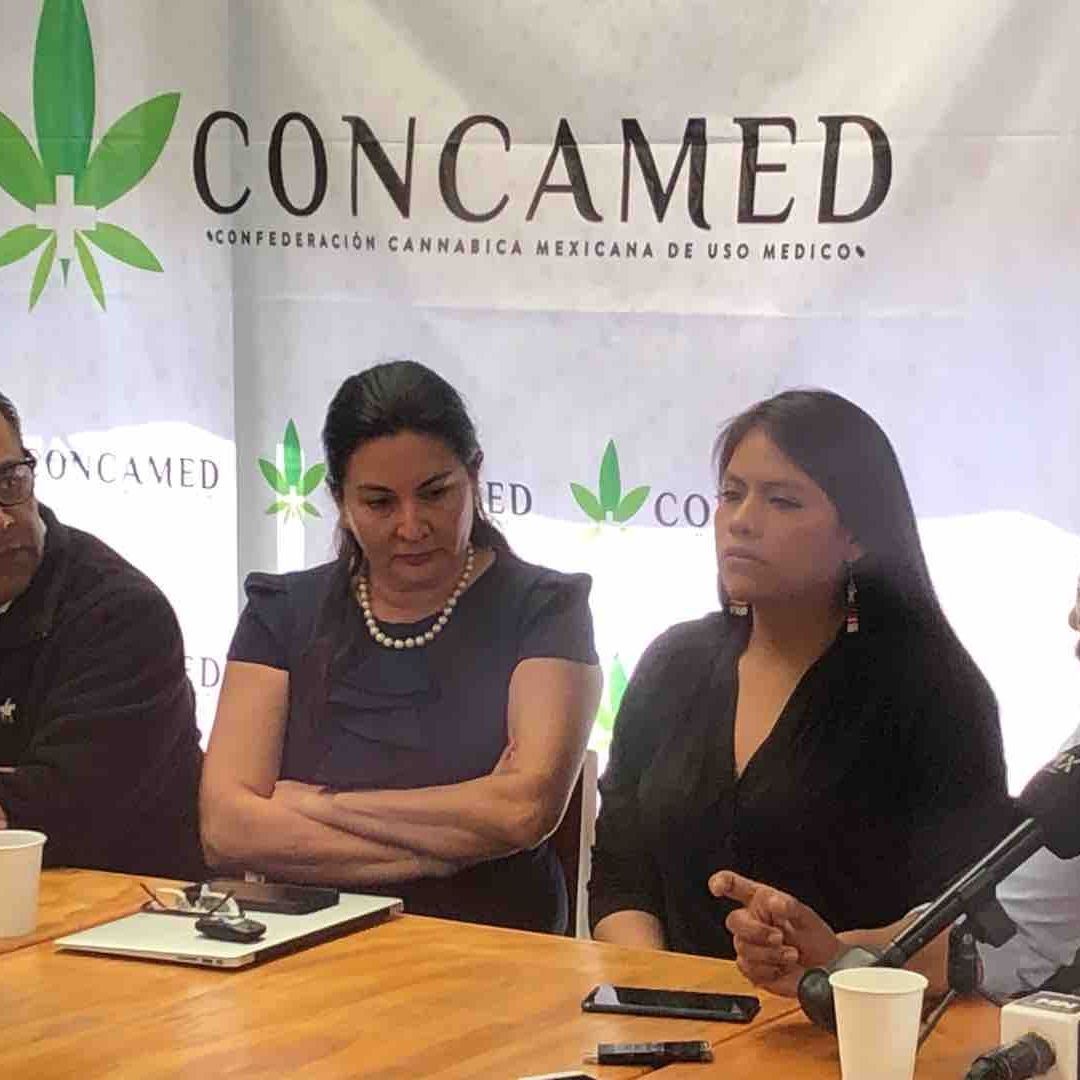Amparo colectivo para uso medicinal de la cannabis