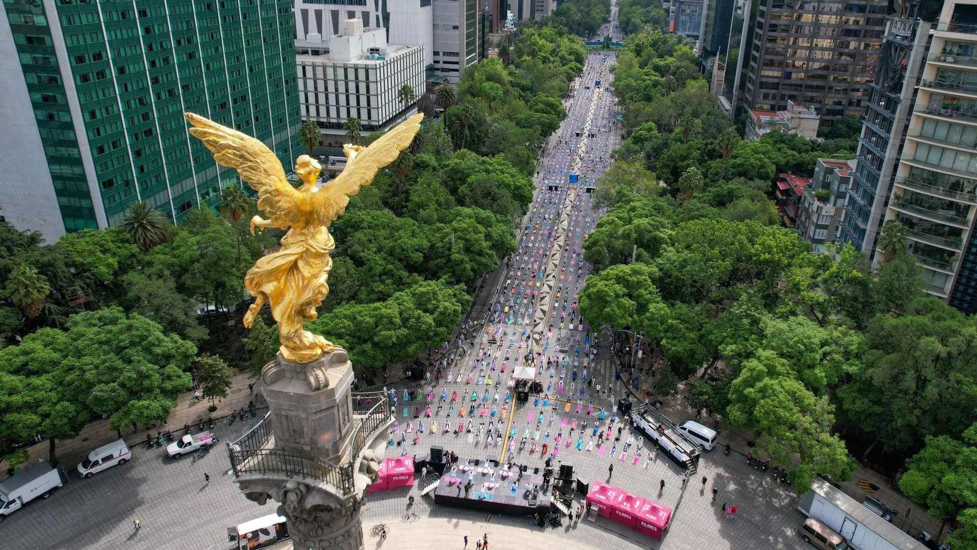 Conoce qué hay en Reforma hoy 29 de noviembre 2025