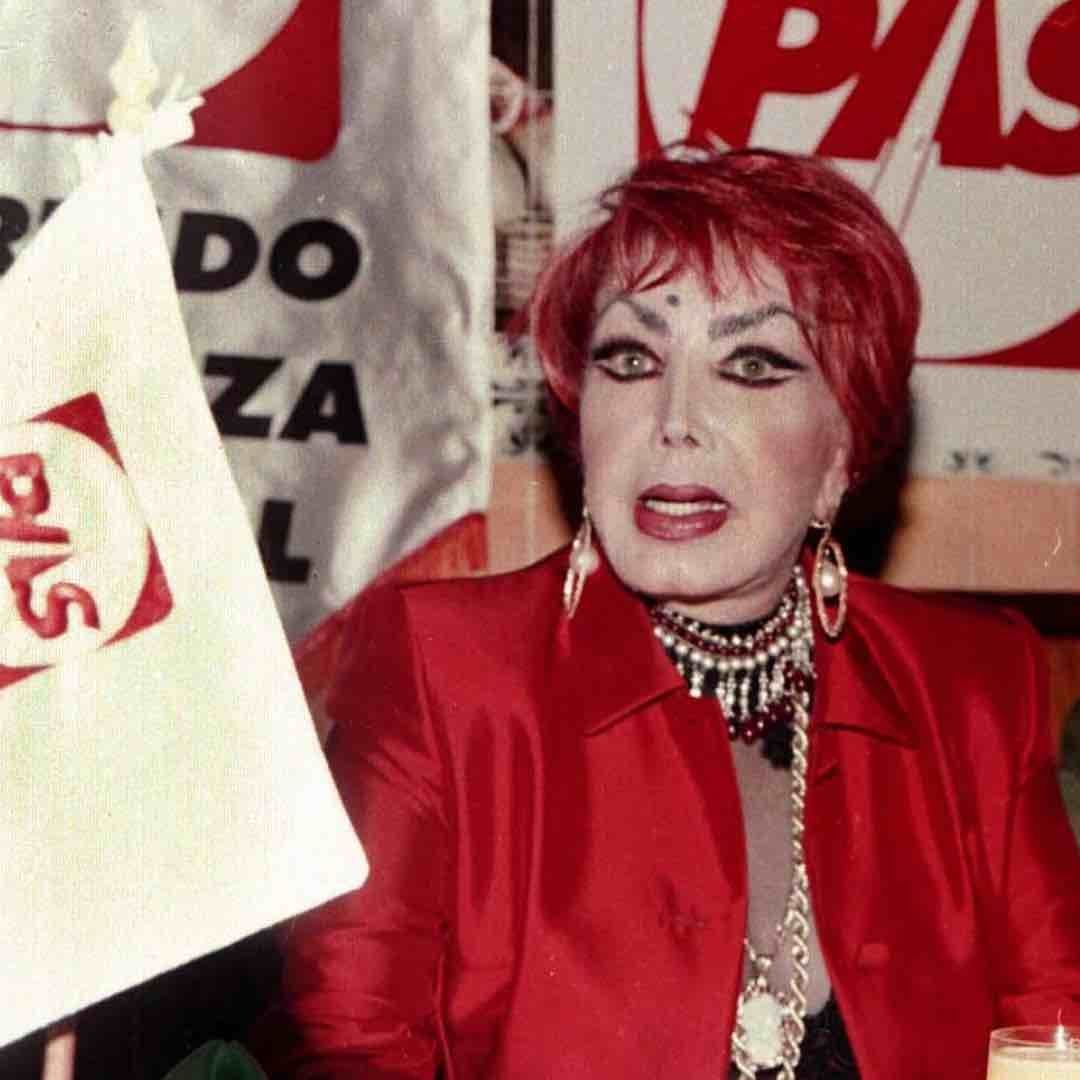 Irma Serrano: cargos políticos y partidos políticos