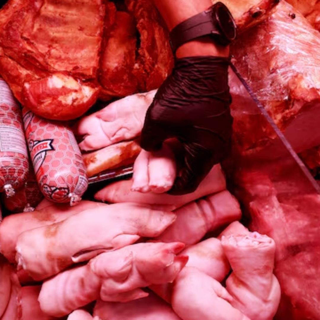 México Suspende Productos de Cerdo de España por Peste Africana