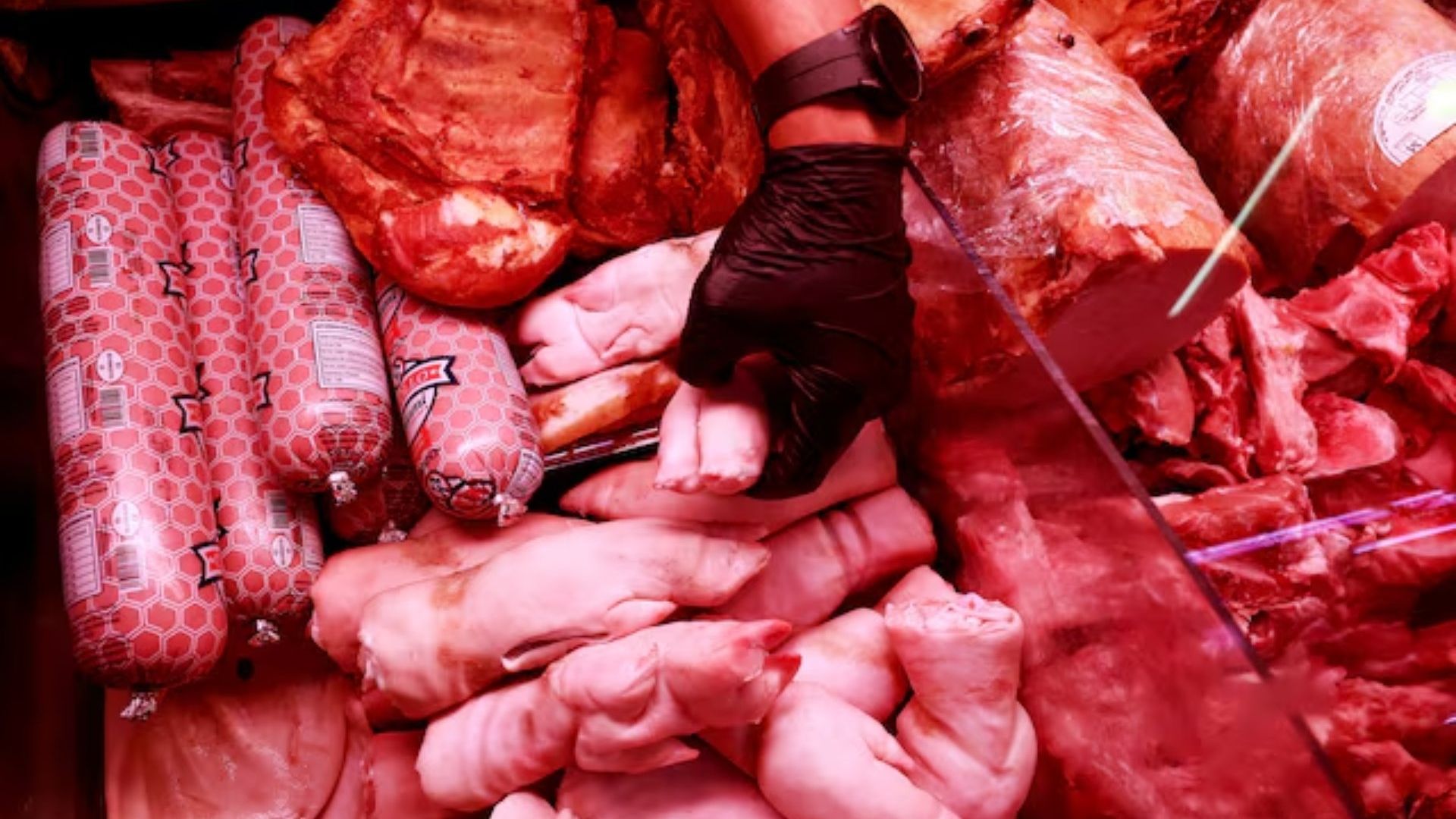 México Suspende Productos de Cerdo de España por Peste Africana