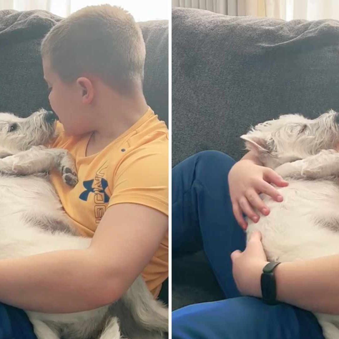 Video: Niño canta a su perrita canción de Coldplay
