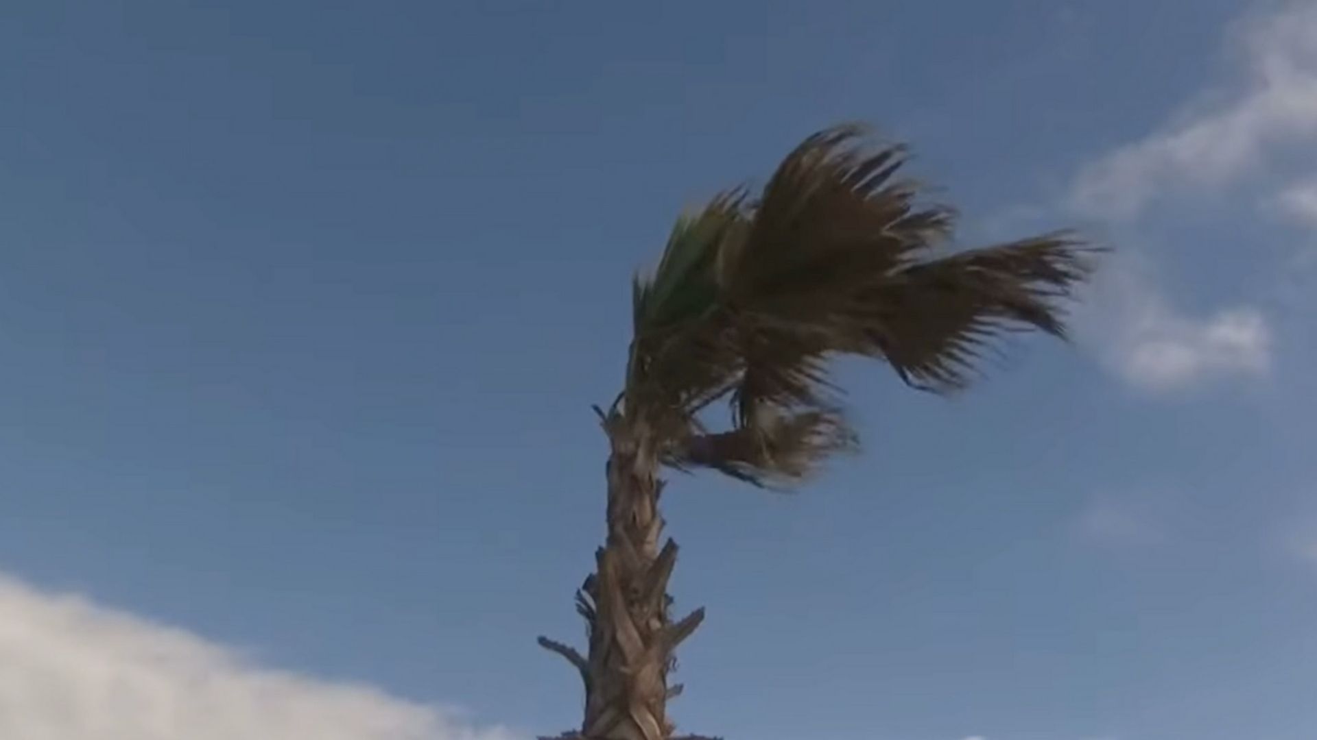 Pronostican Condición de Vientos de Santa Ana Hoy en Tijuana; ¿Cuánto Durarán?