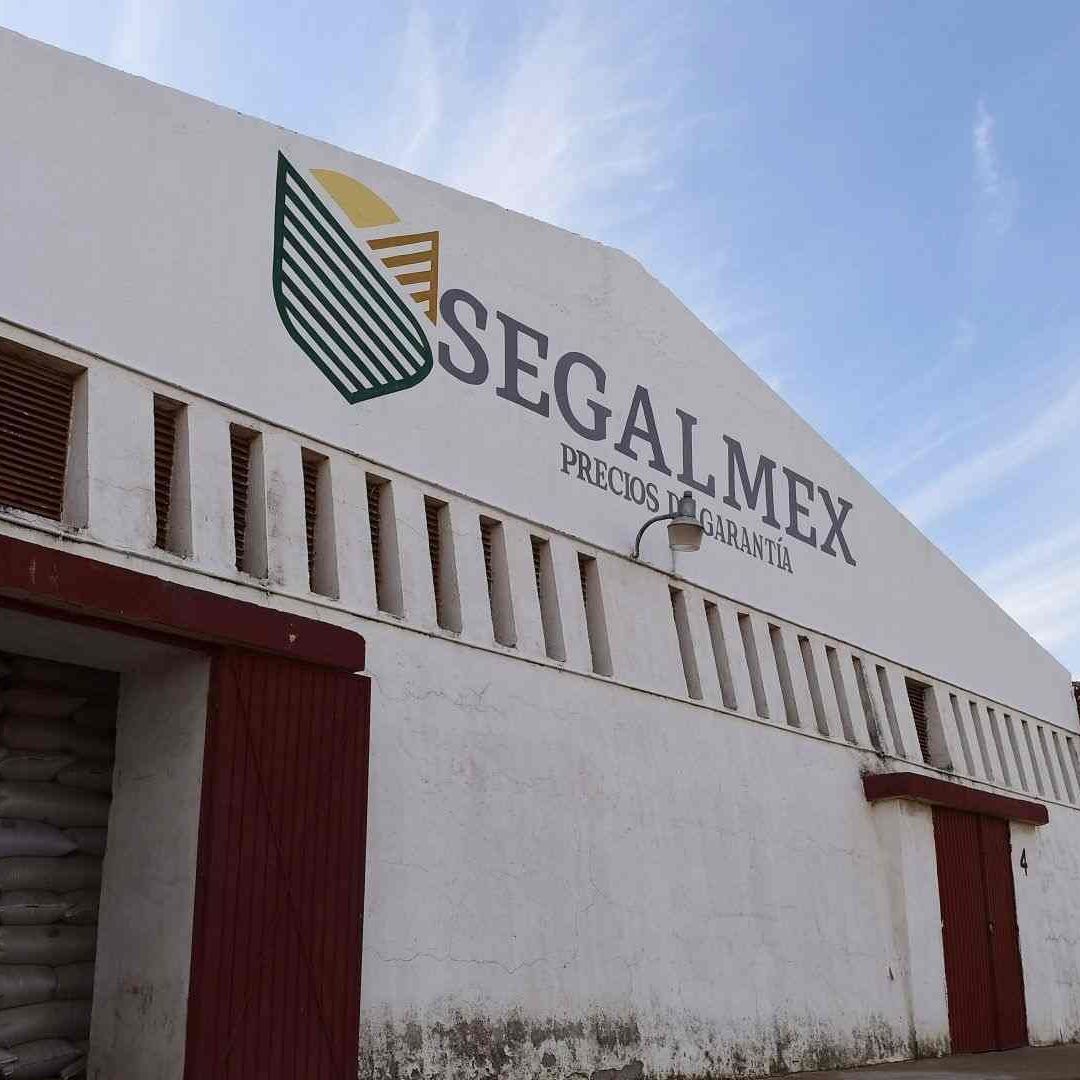 FGR Obtiene 22 Órdenes de Aprehensión por Desfalco a Segalmex