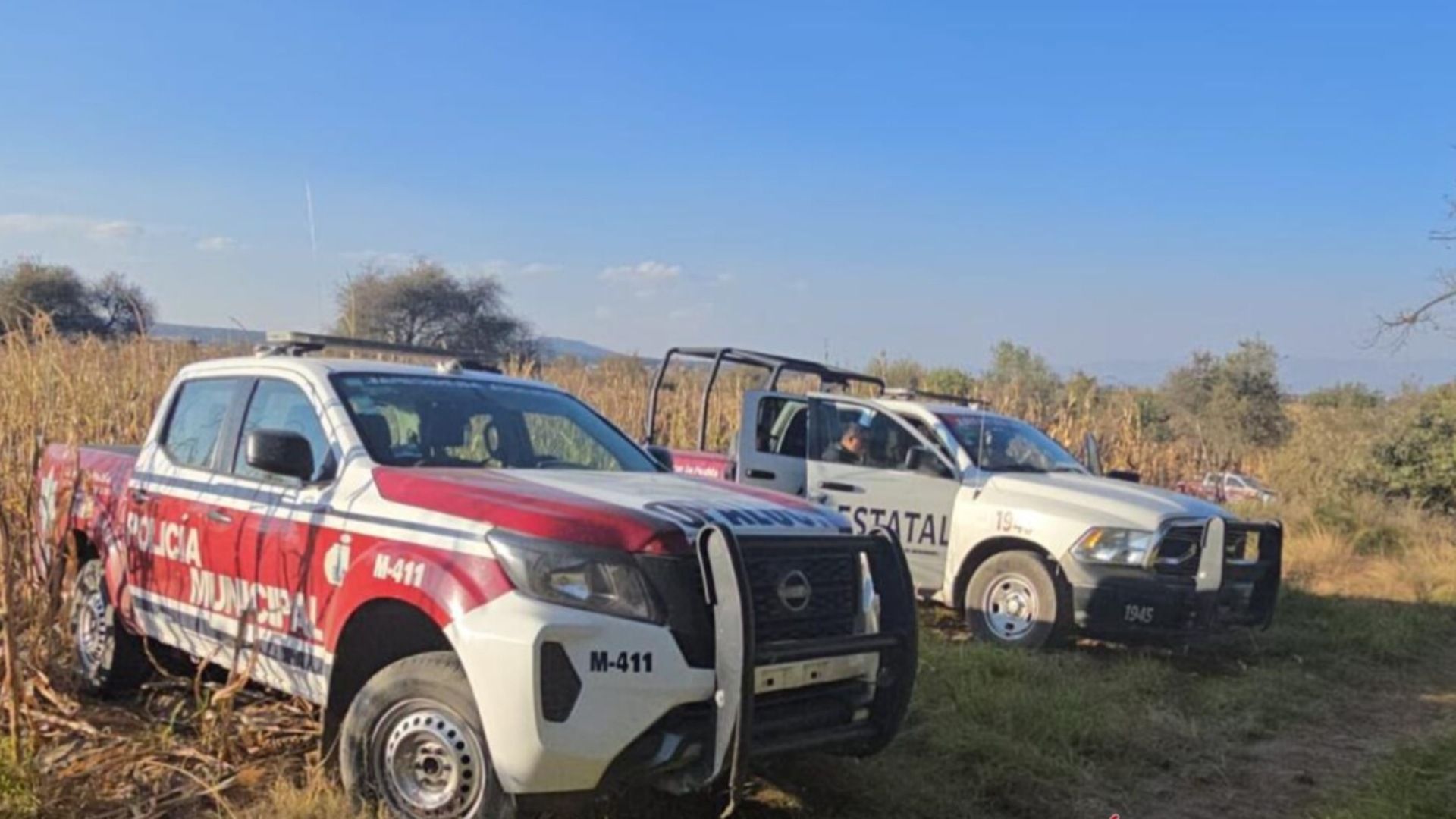 Siete Cuerpos sin Vida Hallados en Zona Limítrofe entre Puebla y Tlaxcala