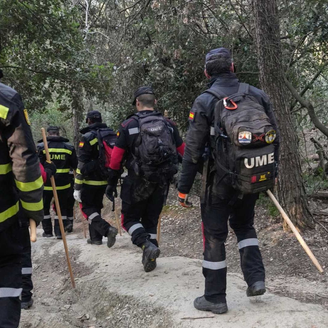 Cazan a jabalíes por brote de peste porcina africana en Cataluña, España
