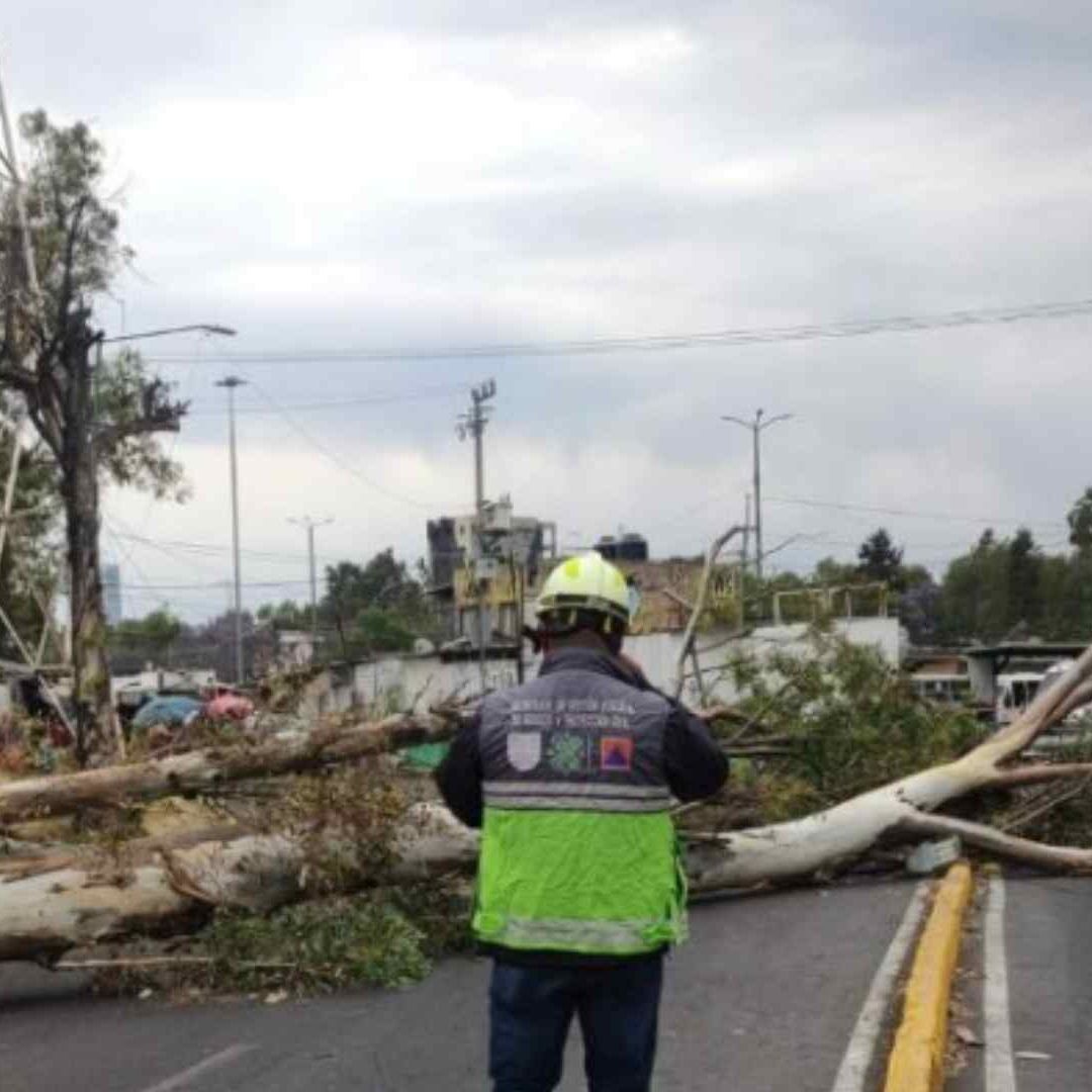 Alerta Amarilla en CDMX por Vientos Fuertes