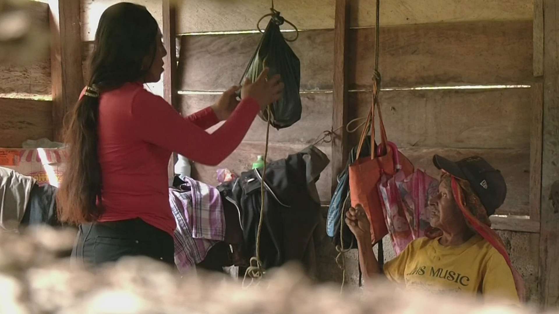 Chiapas es la zona cero del gusano barrenador, que también ha afectados a varias personas. Foto: N+