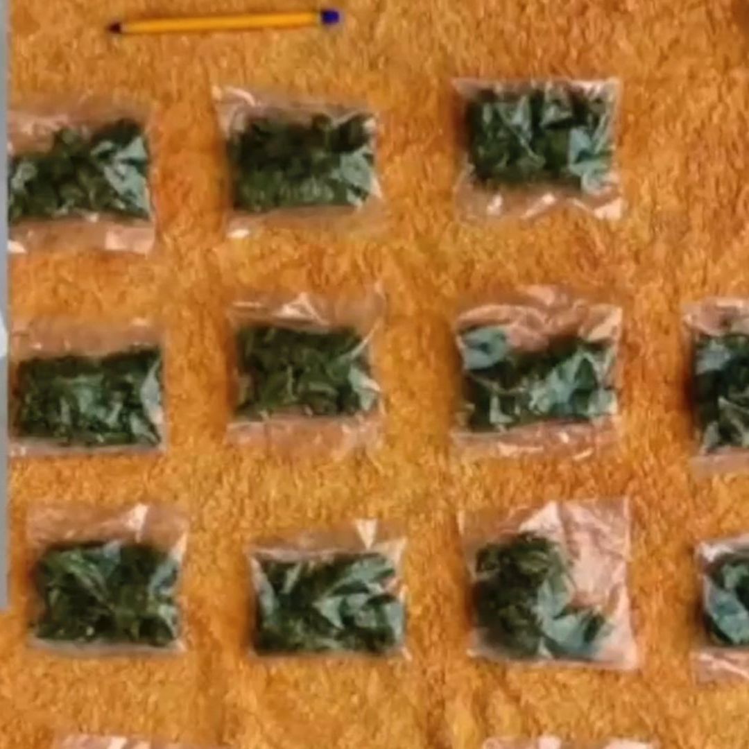 Detienen a Hombre con Droga y un Arma en la Colonia Piletas I en León Guanajuato I N+ Bajío