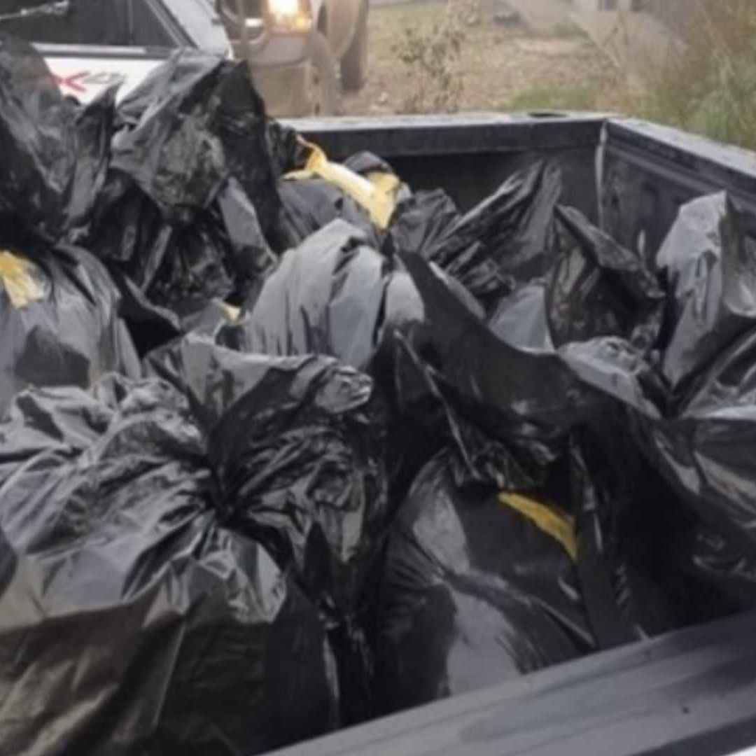 Sedena y GN aseguraron más de un millón de pastillas de fentanilo durante un cateo en Tijuana, Baja California