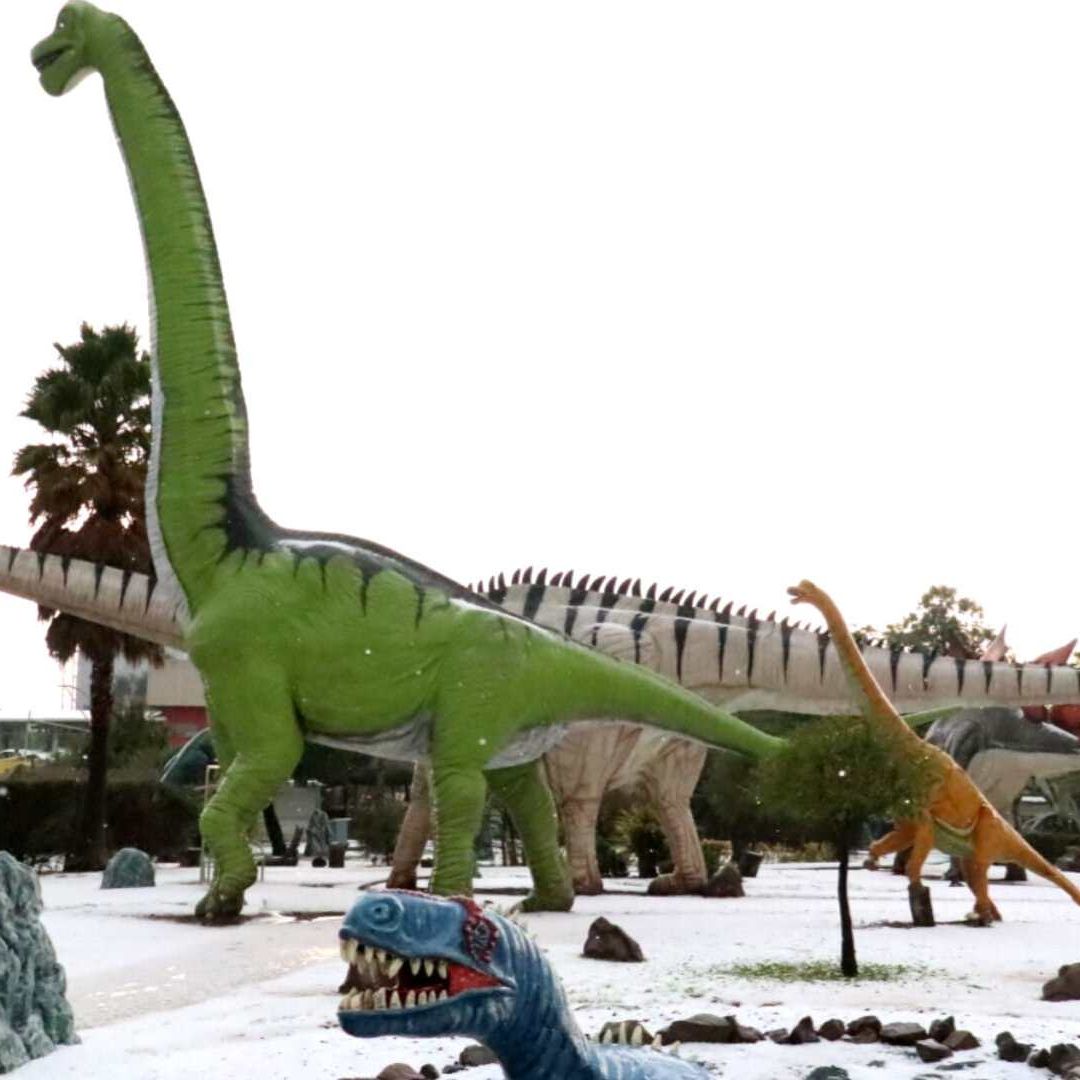 Granizada en Hidalgo Pinta de Blanco el Dinoparque