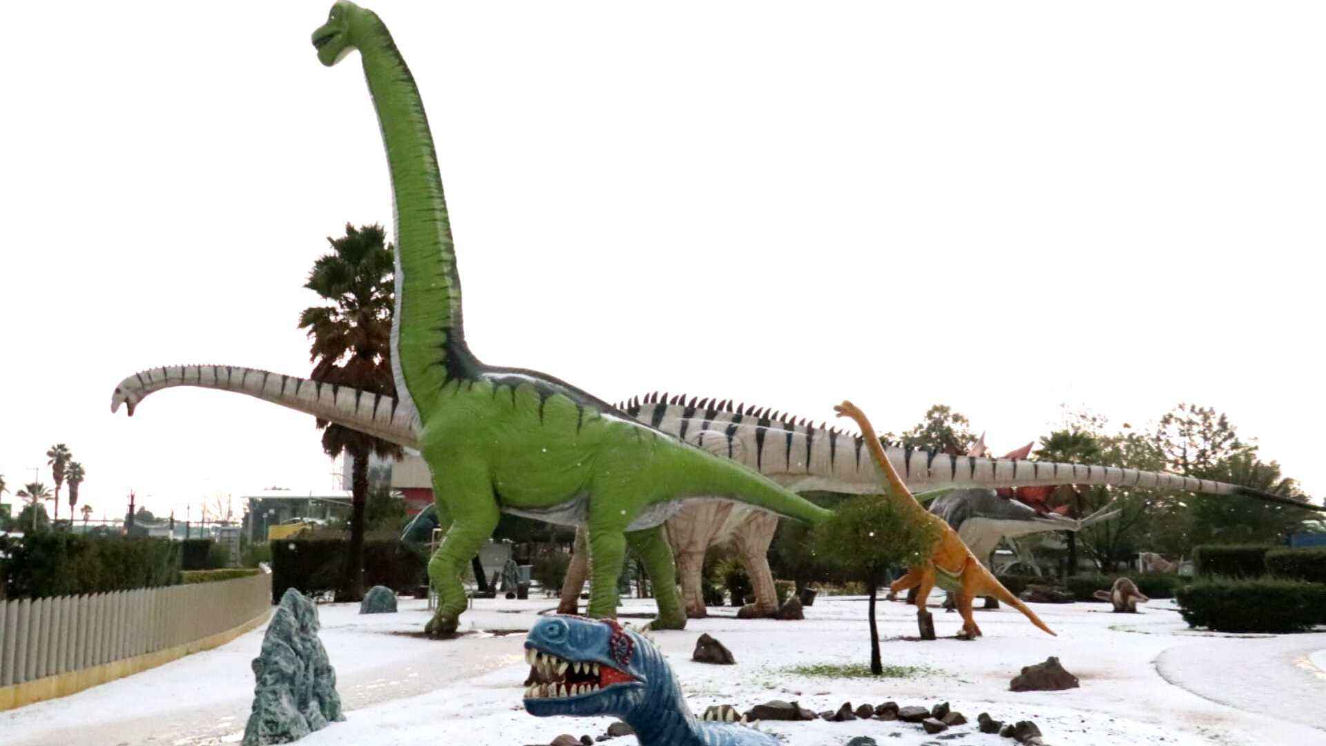 Granizada en Hidalgo Pinta de Blanco el Dinoparque