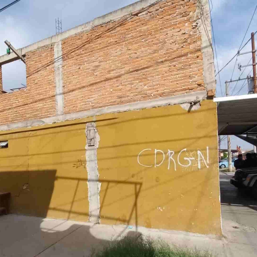 Encuentran presunto matadero de perros y gatos en San Luis Potosí