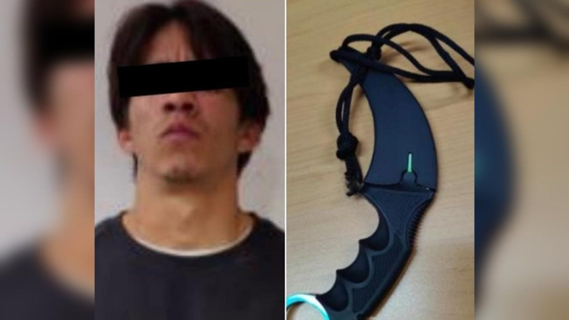 Hombre Ataca con Cuchillo a Perro y lo Mata