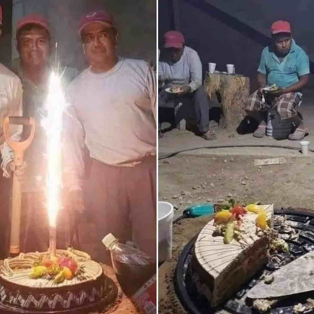 Albañiles festejan a su compañero con pastel