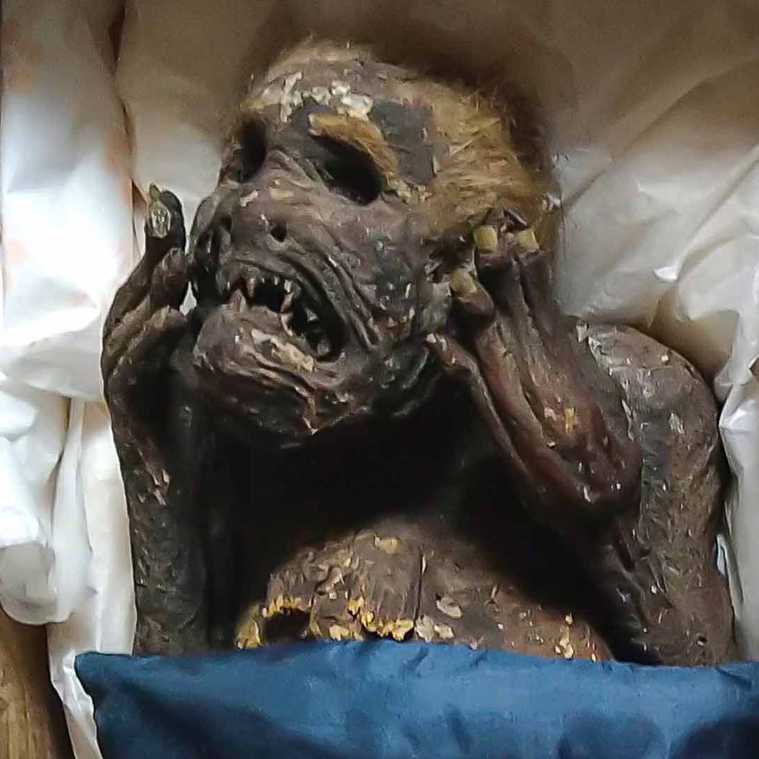 Momia sirena encontrada en Japón