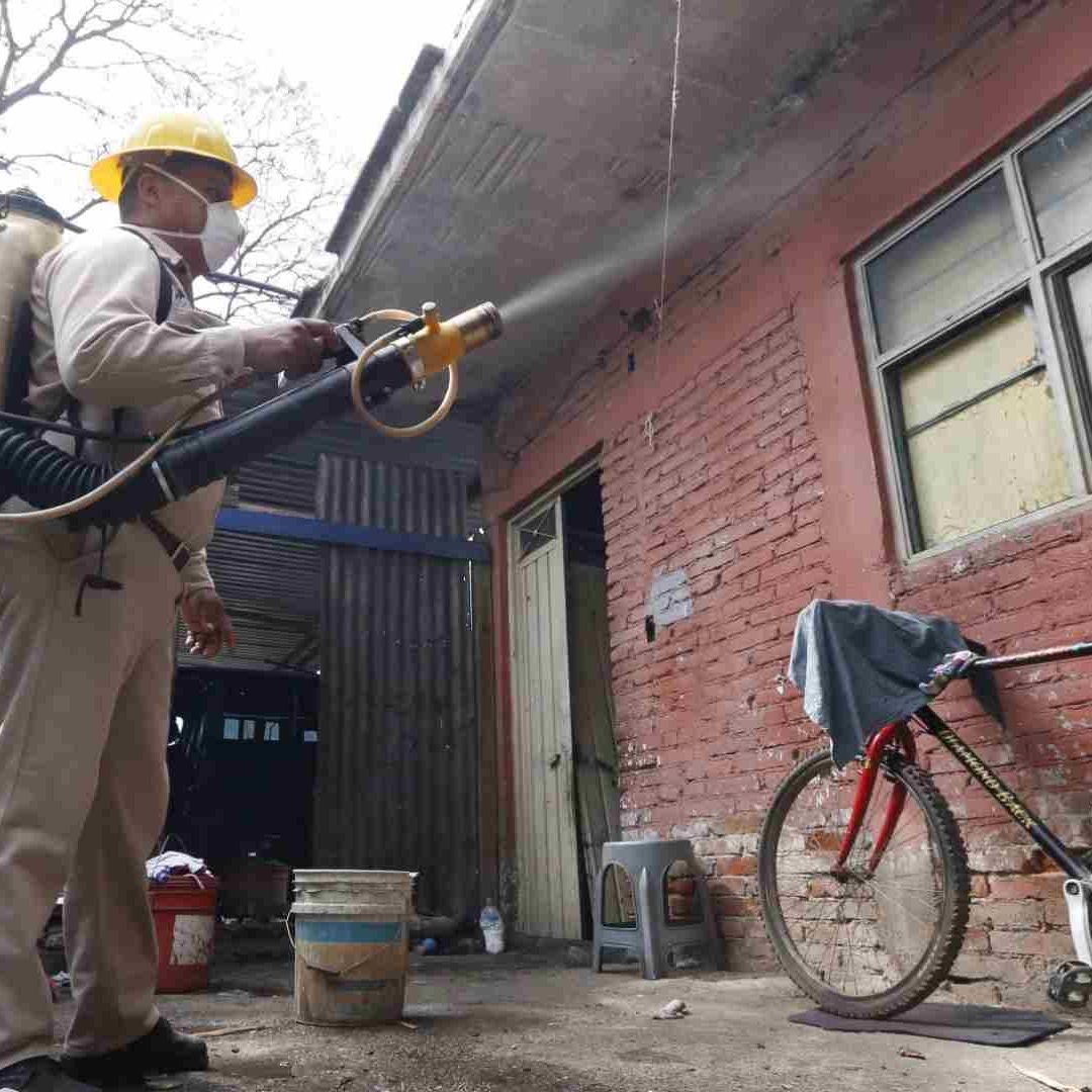 Aumentan los Casos de Dengue en Oaxaca