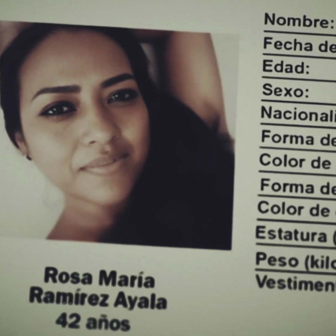 Mujeres desaparecidas en Celaya: familiares angustiados por Rosa