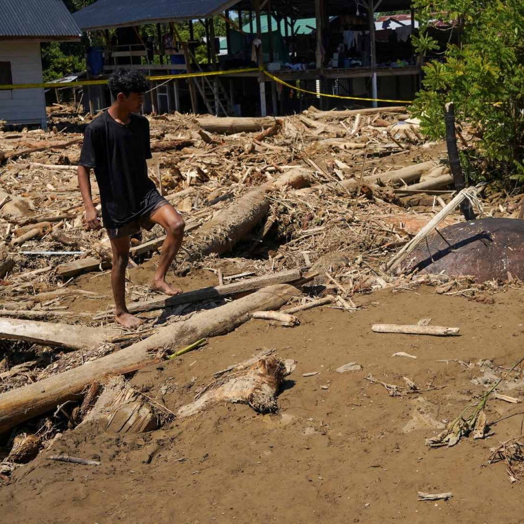Elefante Queda Enterrado Tras Inundaciones, en Indonesia; Habría Sido Arrastrado por el Agua