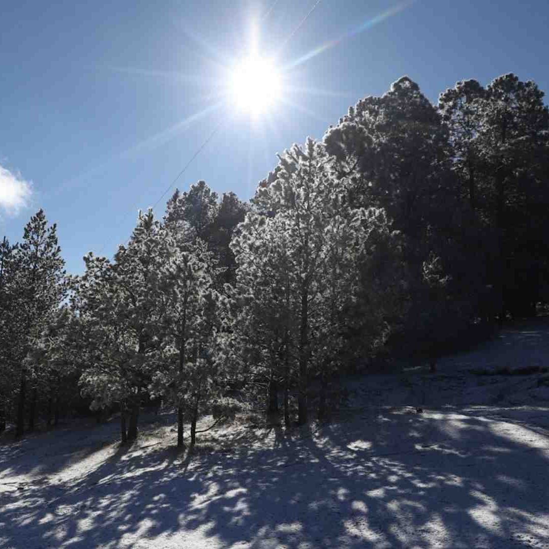 Con nevadas, ingresa el Frente Frío 41 a Coahuila