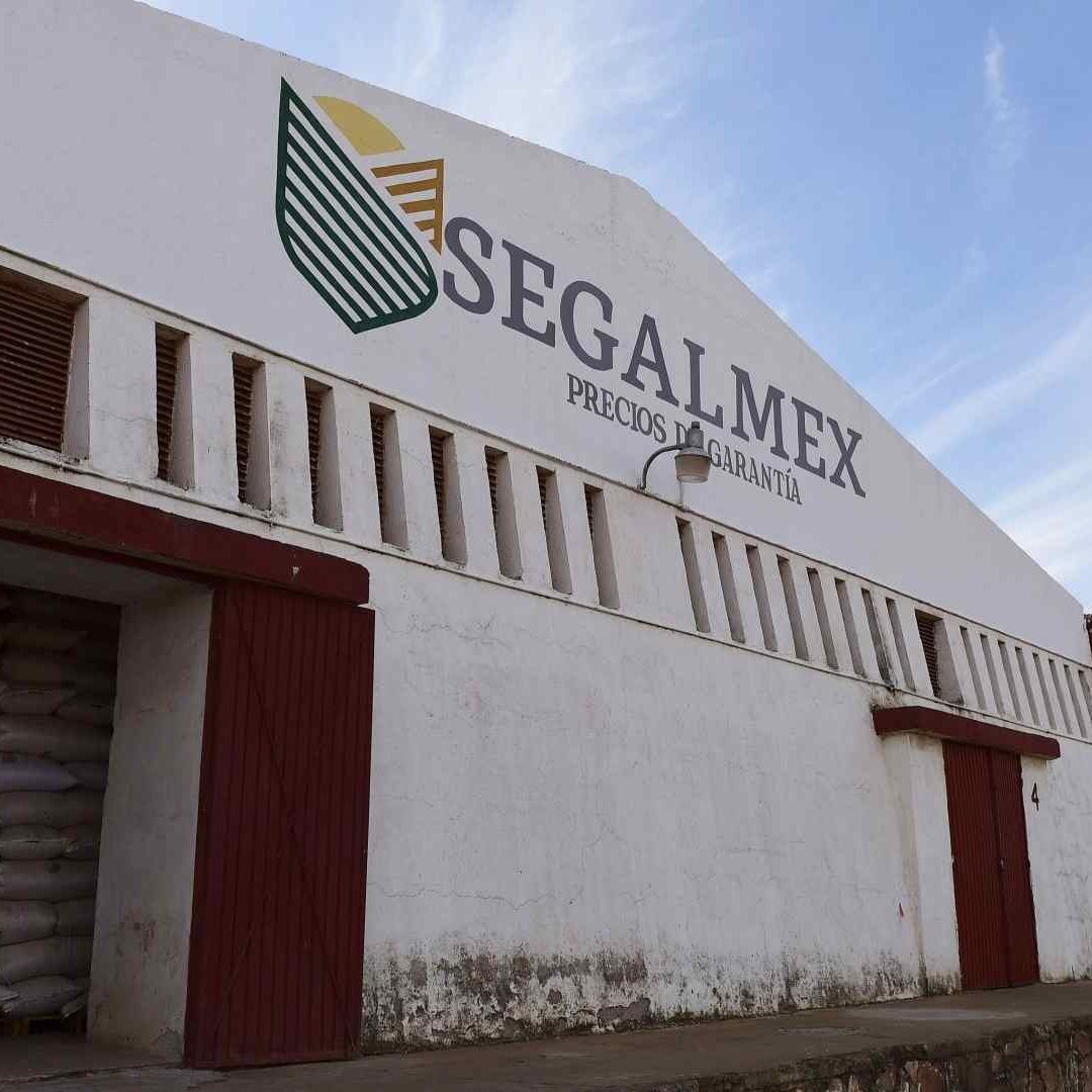De acuerdo con la ASF el monto que debe aclarar Segalmex es de 884 millones 816,453 pesos
