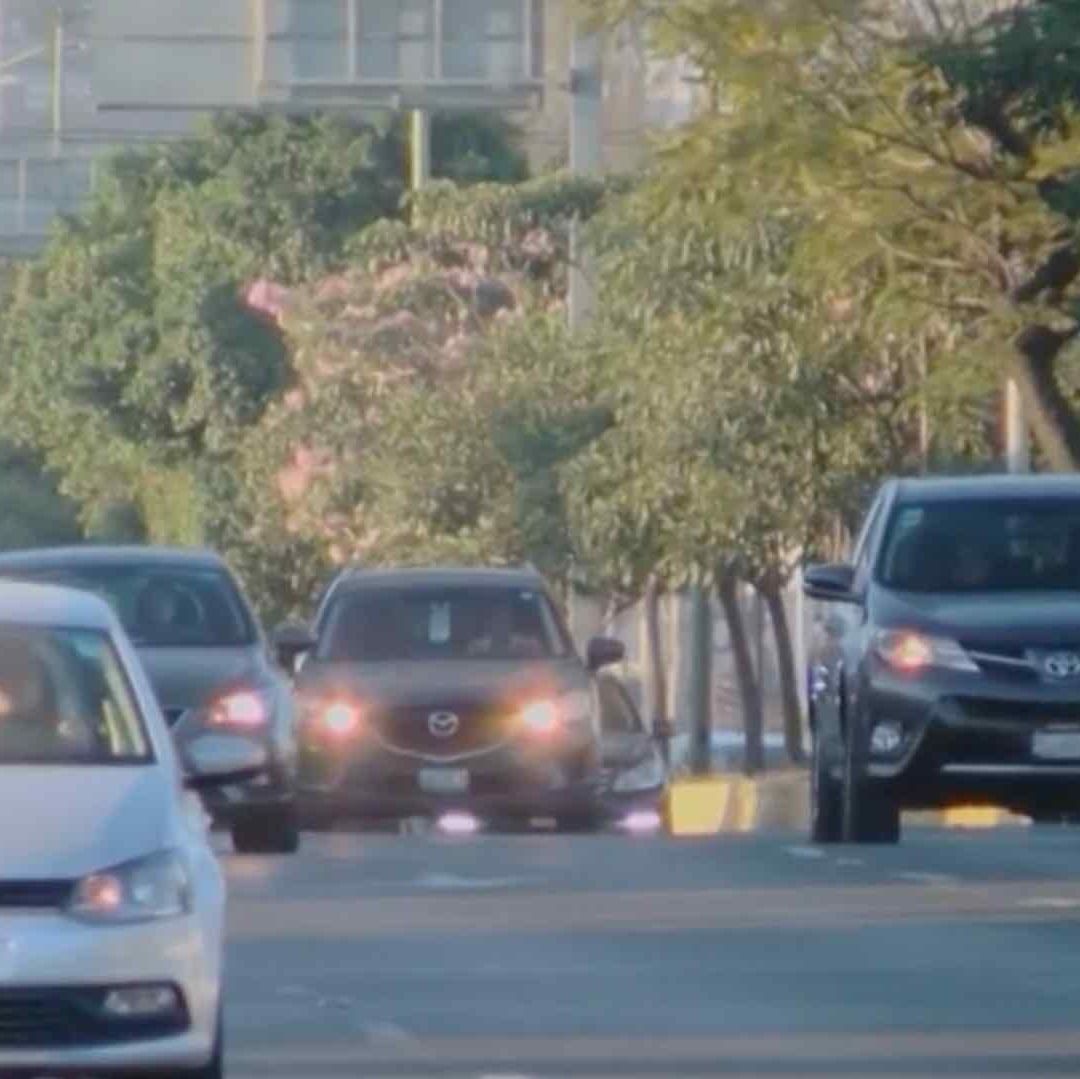 Diciembre último mes gratis cambio de placas