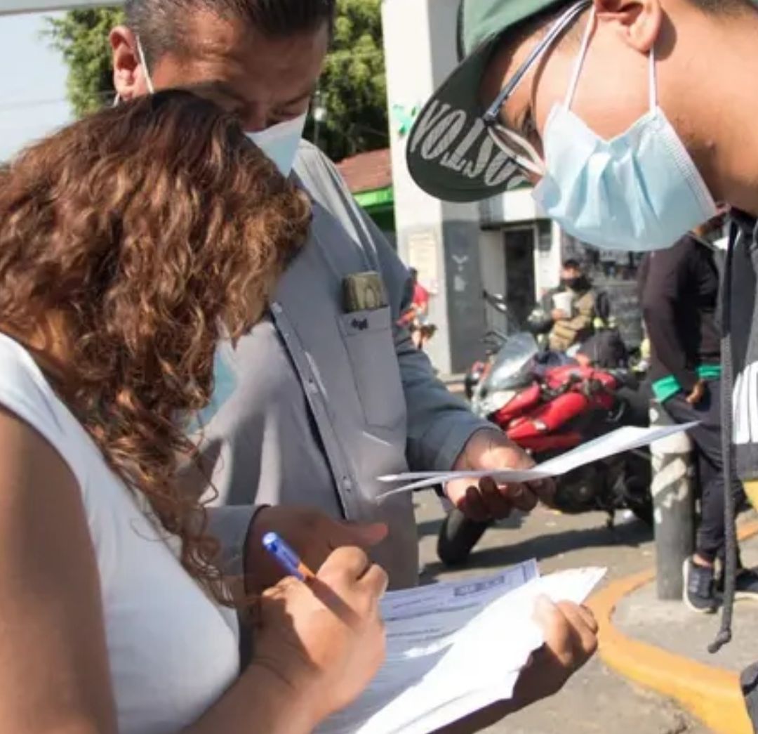 Formato Estadístico para Mexicanos 2025. Qué Es Quiénes Deben Presentar el FEM Guía Completa