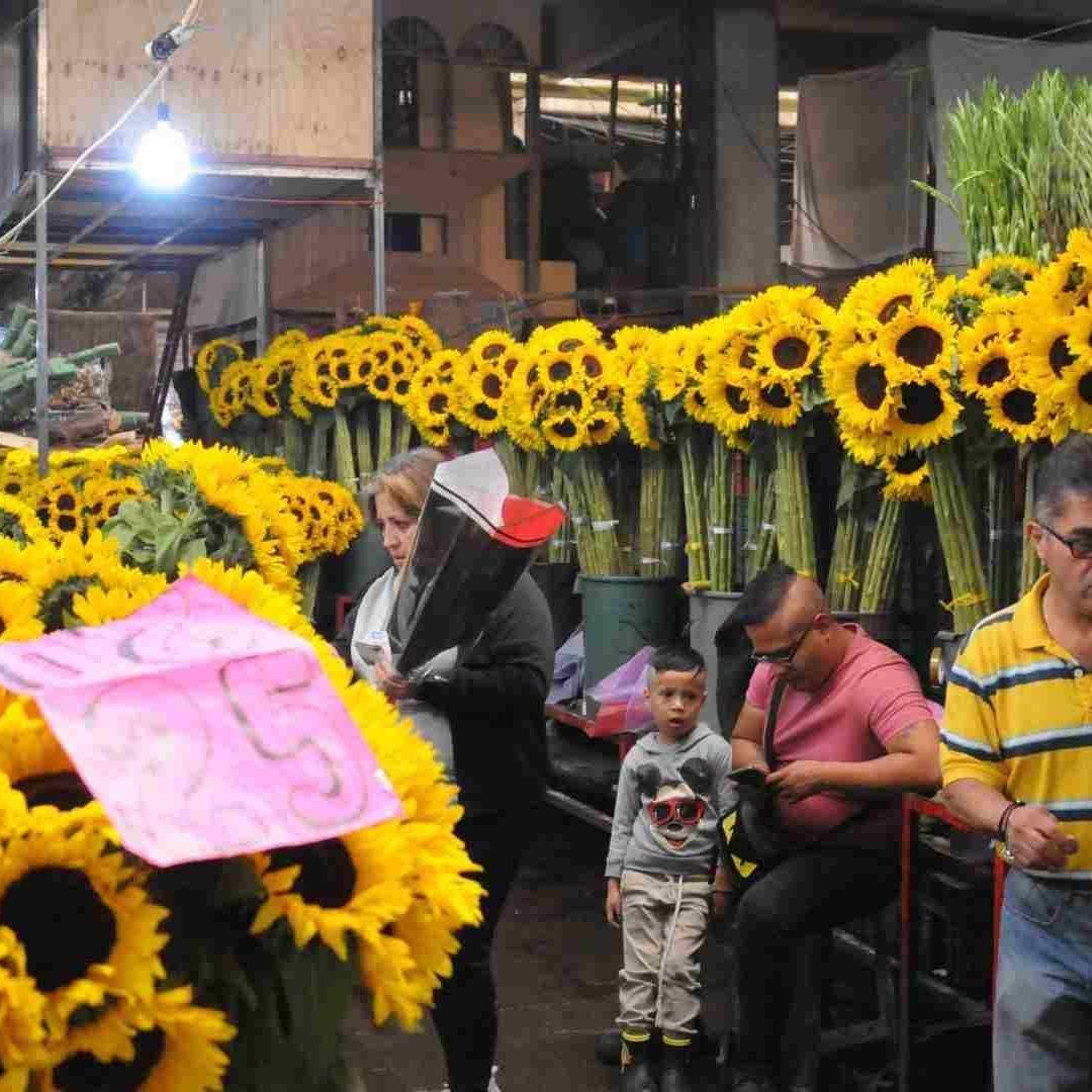 Varios usuarios de redes sociales han vuelto viral el hecho de regalar flores amarillas el 21 de marzo