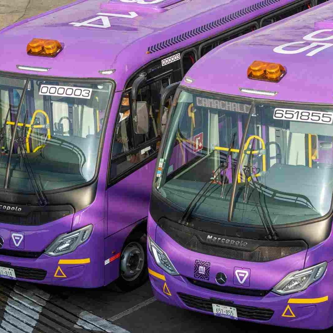 CDMX sin Microbuses: ¿Cómo serán los nuevos autobuses que sustituyen a los "micros"?